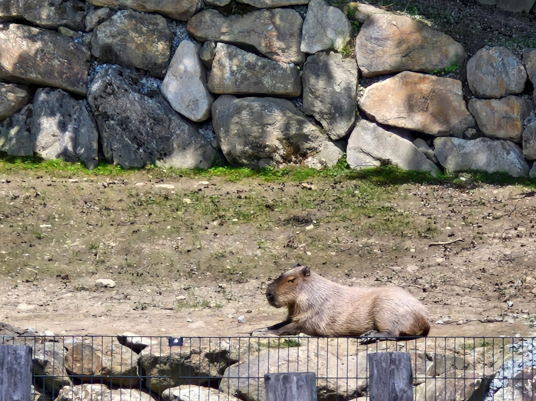 Edelwies Natur- und Freizeitpark-Neukirchen必去景点