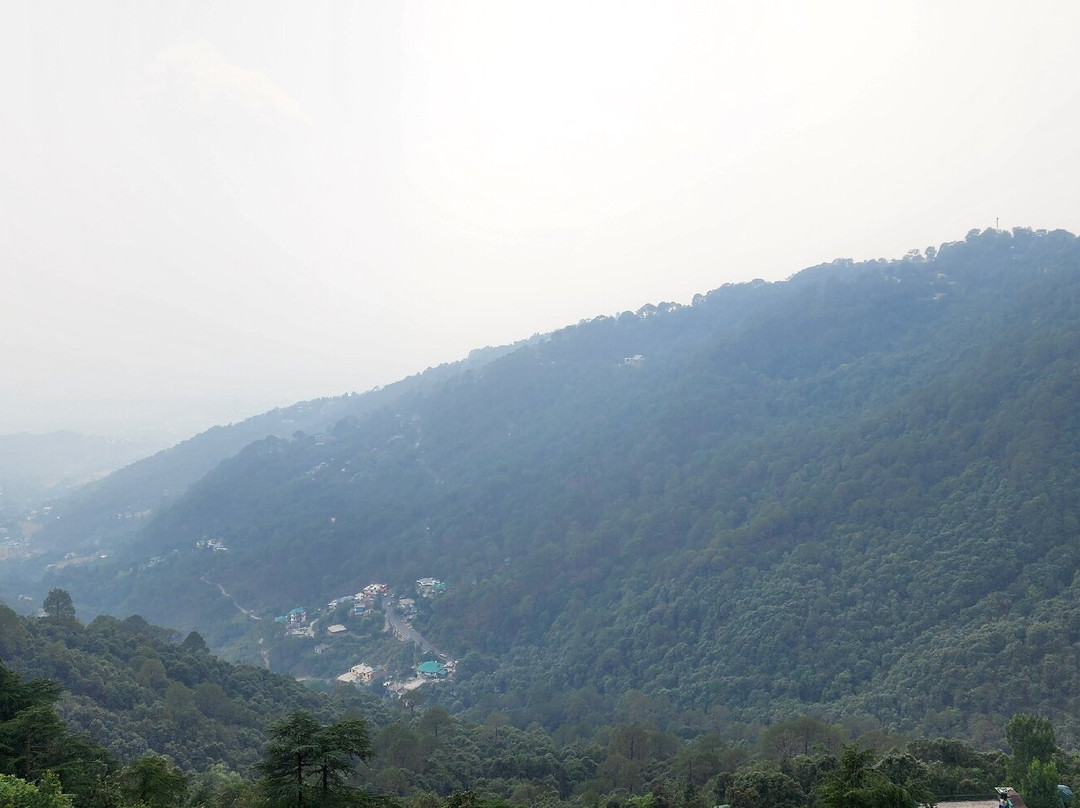 M Hotel & Restaurant主图