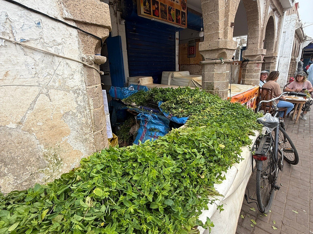 Walking With Nomads-Agdz必去景点