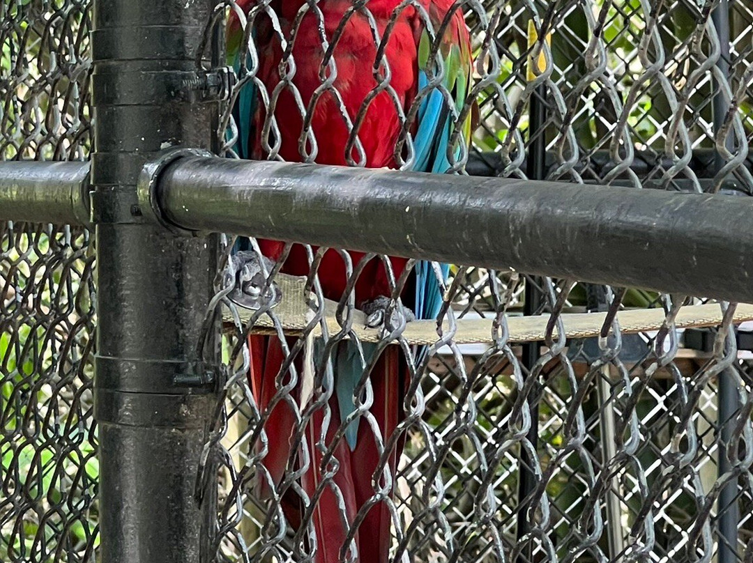 The Wonder Gardens-博尼塔斯普林斯必去景点