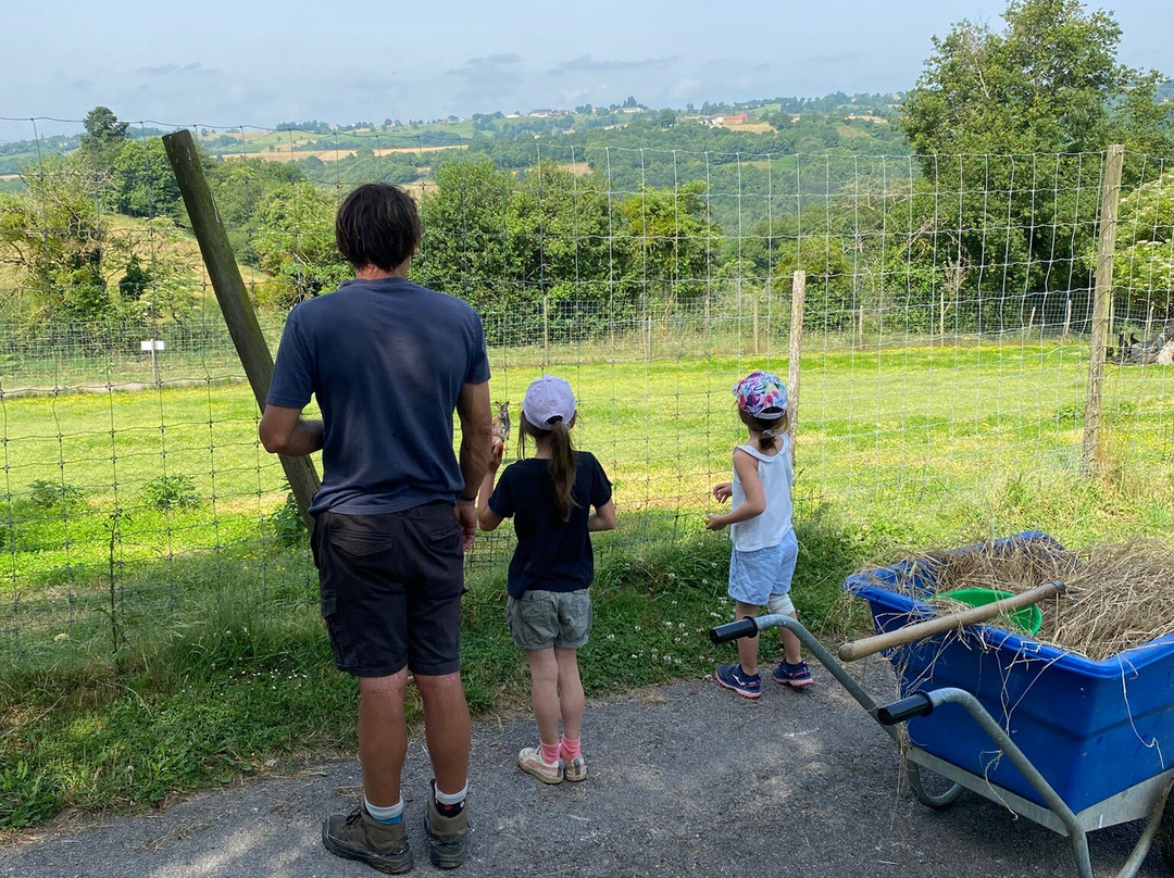 Parc Animalier de Pradinas-Pradinas必去景点