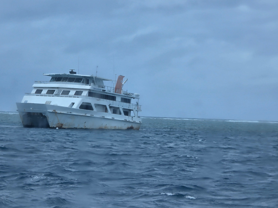 Reef Encounter-凯恩斯必去景点