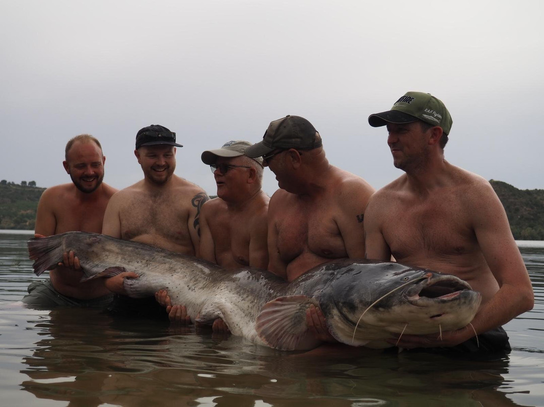 River Ebro Catfishing Holidays景点图片