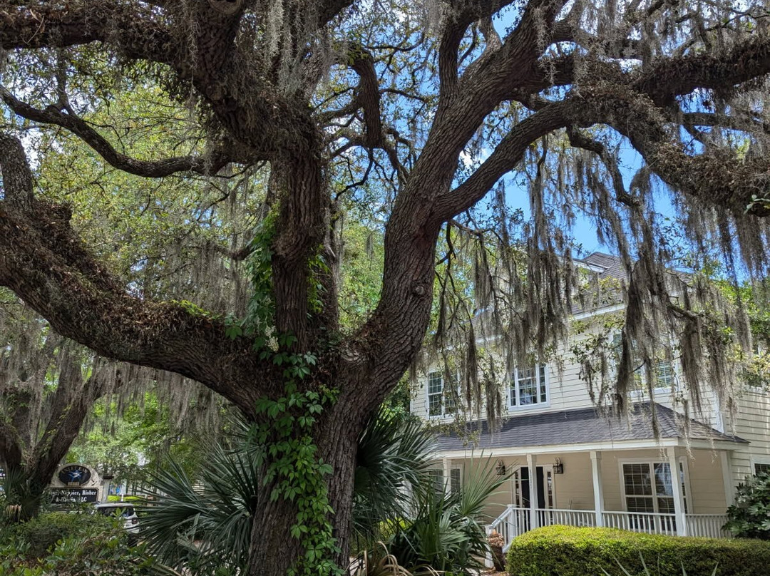 MarshWalk-默勒尔斯因莱特必去景点