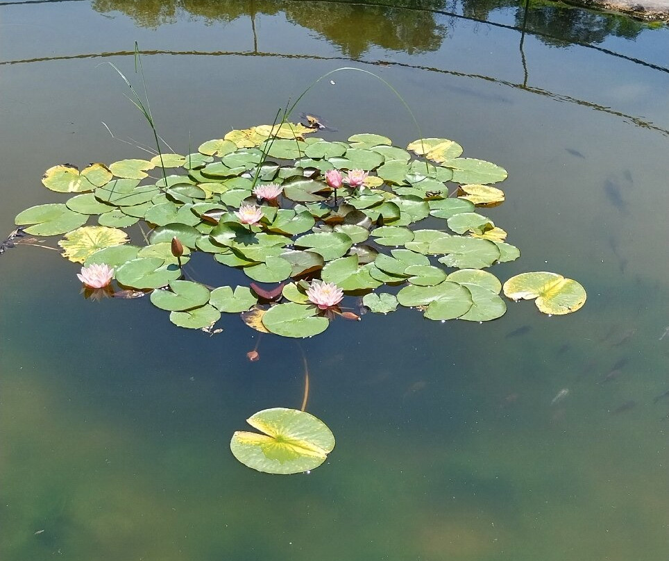 Les Jardins du Puygirault景点图片
