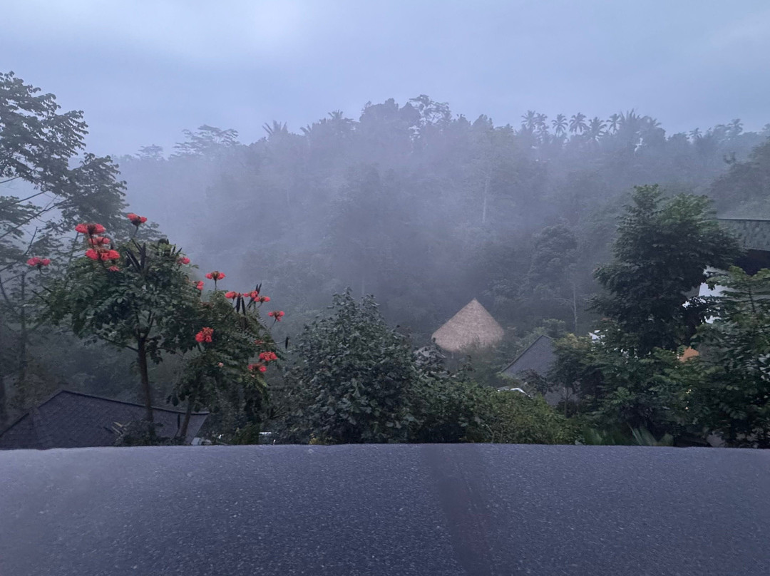 Cicada Resort Bali Ubud, Autograph Collection主图