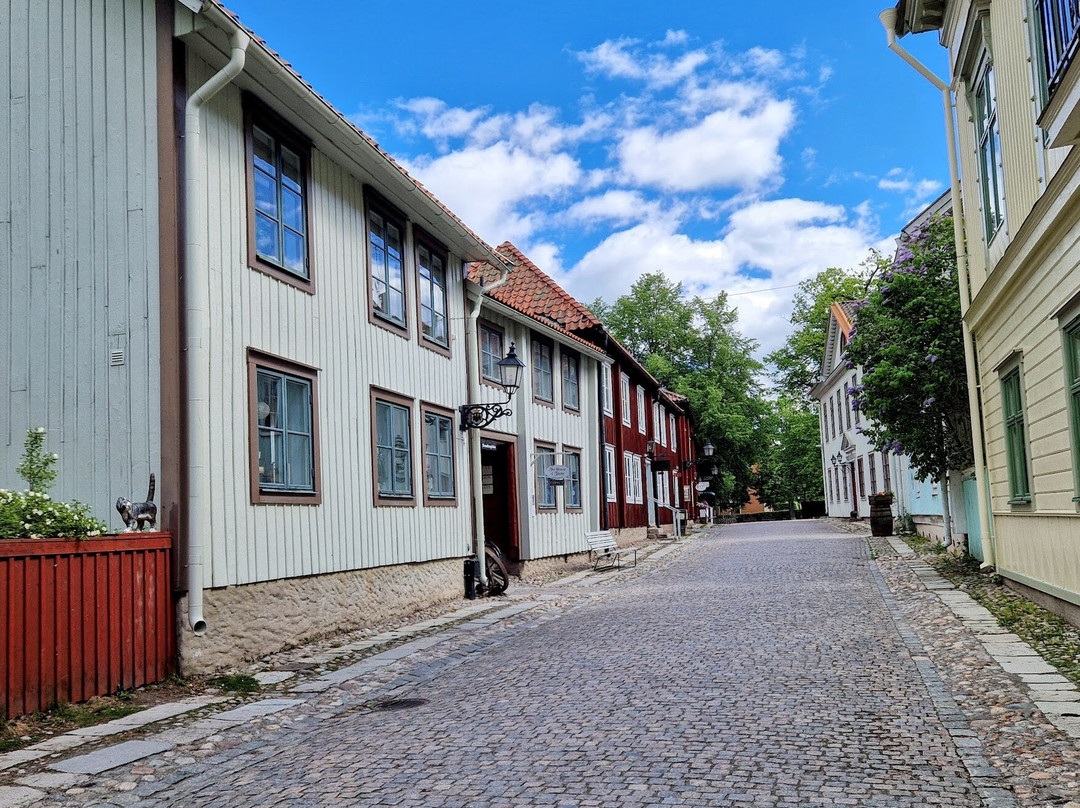 Wadköping Open Air Museum-厄勒布鲁必去景点