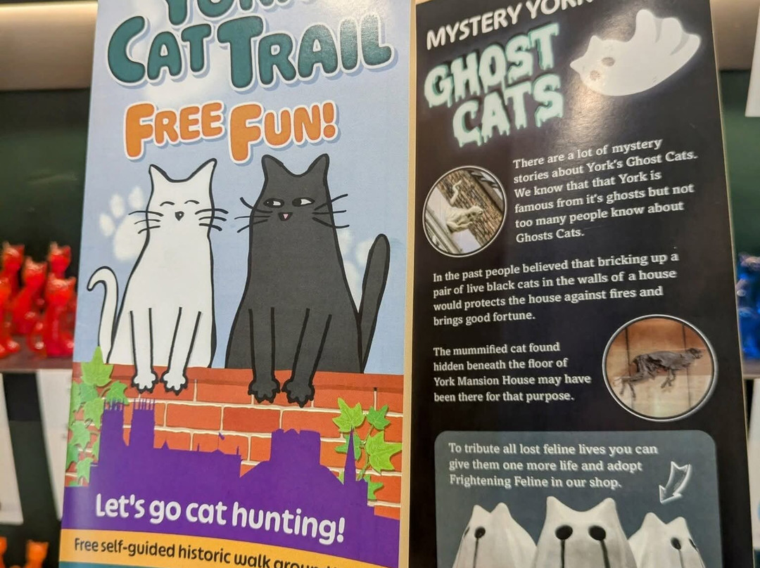 York Cat Trail-约克必去景点