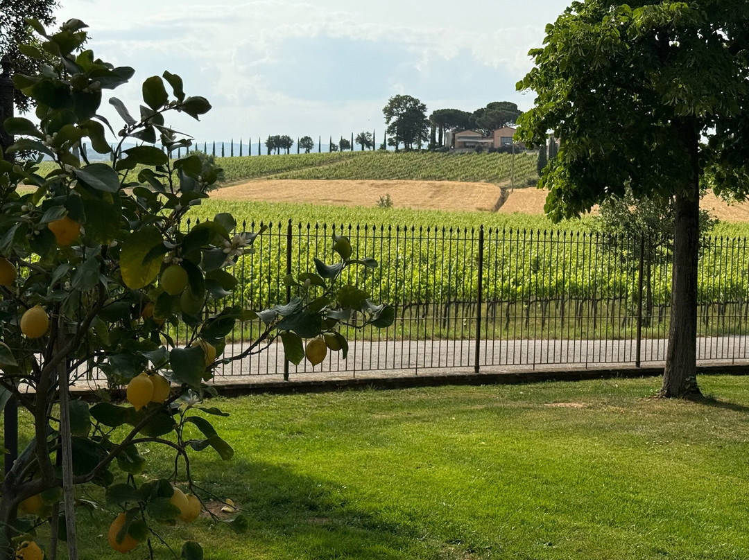 Agriturismo Podere La Rocca主图