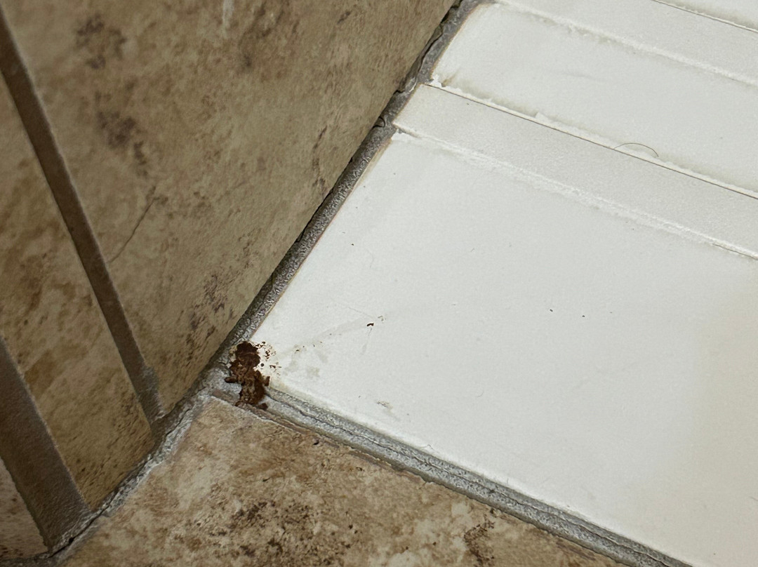 Comfort Inn & Suites Gunnison - Crested Butte主图