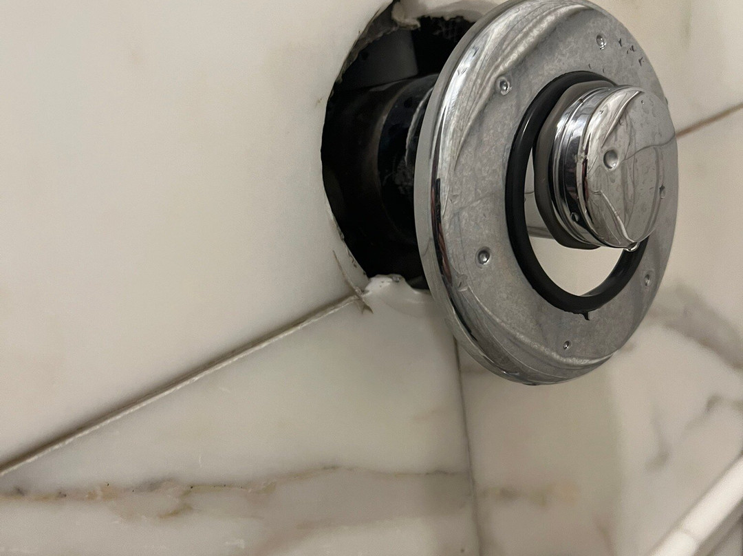 The Hotel Magnolia主图