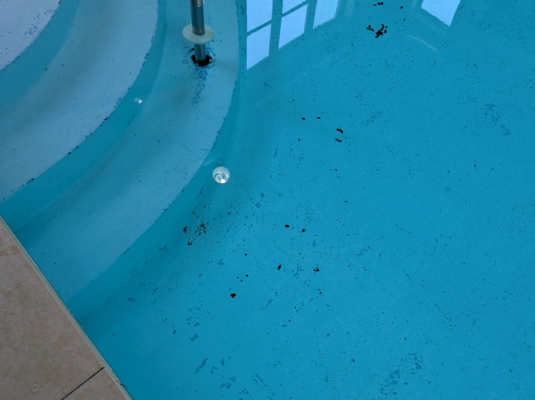 Comfort Inn & Suites主图