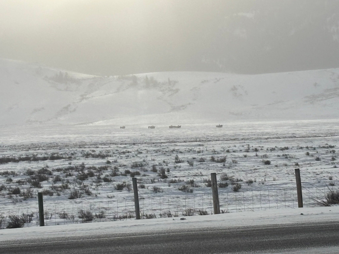 国家麋鹿保护区-杰克逊必去景点