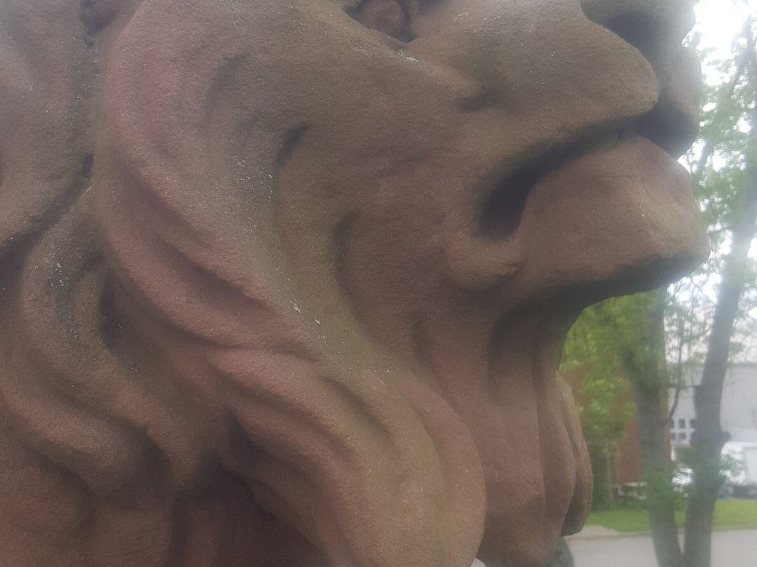 Sydney Downtown Development Association-悉尼必去景点