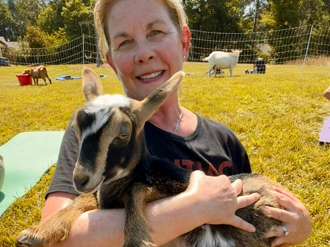 Asheville Wellness Tours-阿什维尔必去景点