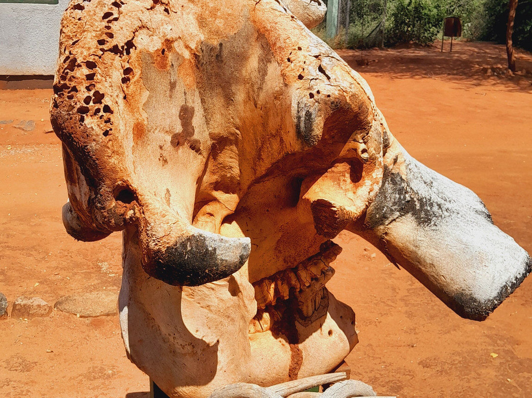 Sote Tours & Travel-莫西必去景点