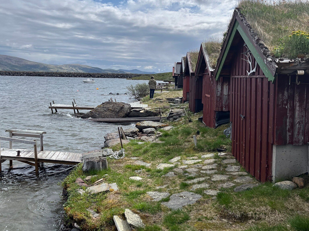 Hotel Folldal Fjellstue主图