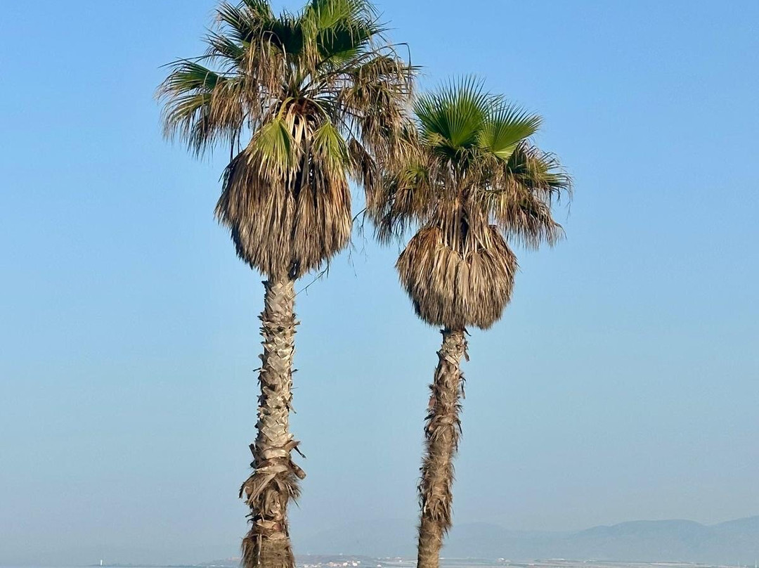 Playa De Balerma-Balerma必去景点