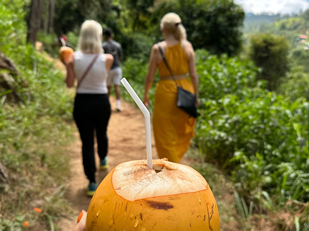 Sri Lanka private Driver DD-卡图纳耶克必去景点