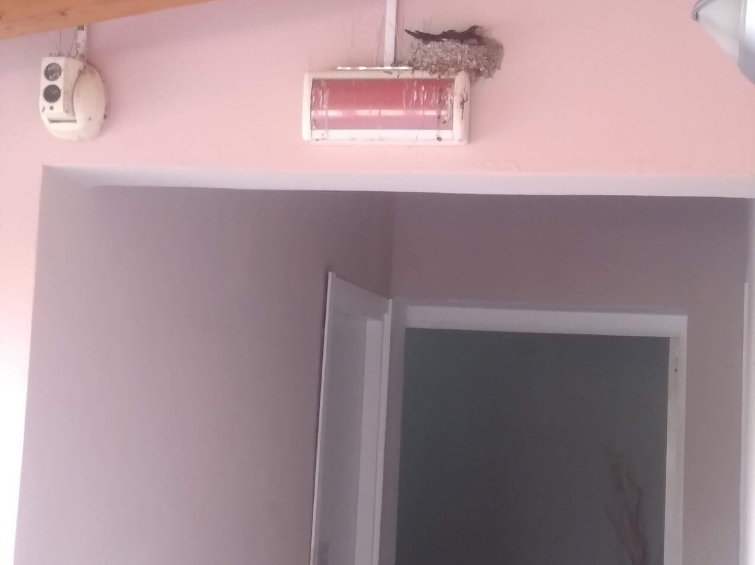 Mercury Boutique Hotel