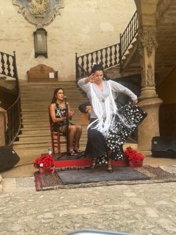 Pura Raza Mallorca-马洛卡帕尔马必去景点