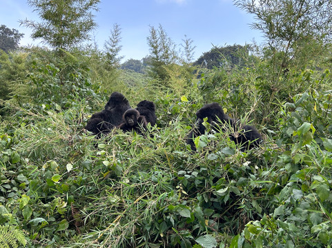 Makario Safaris Ltd.-吉佳利必去景点