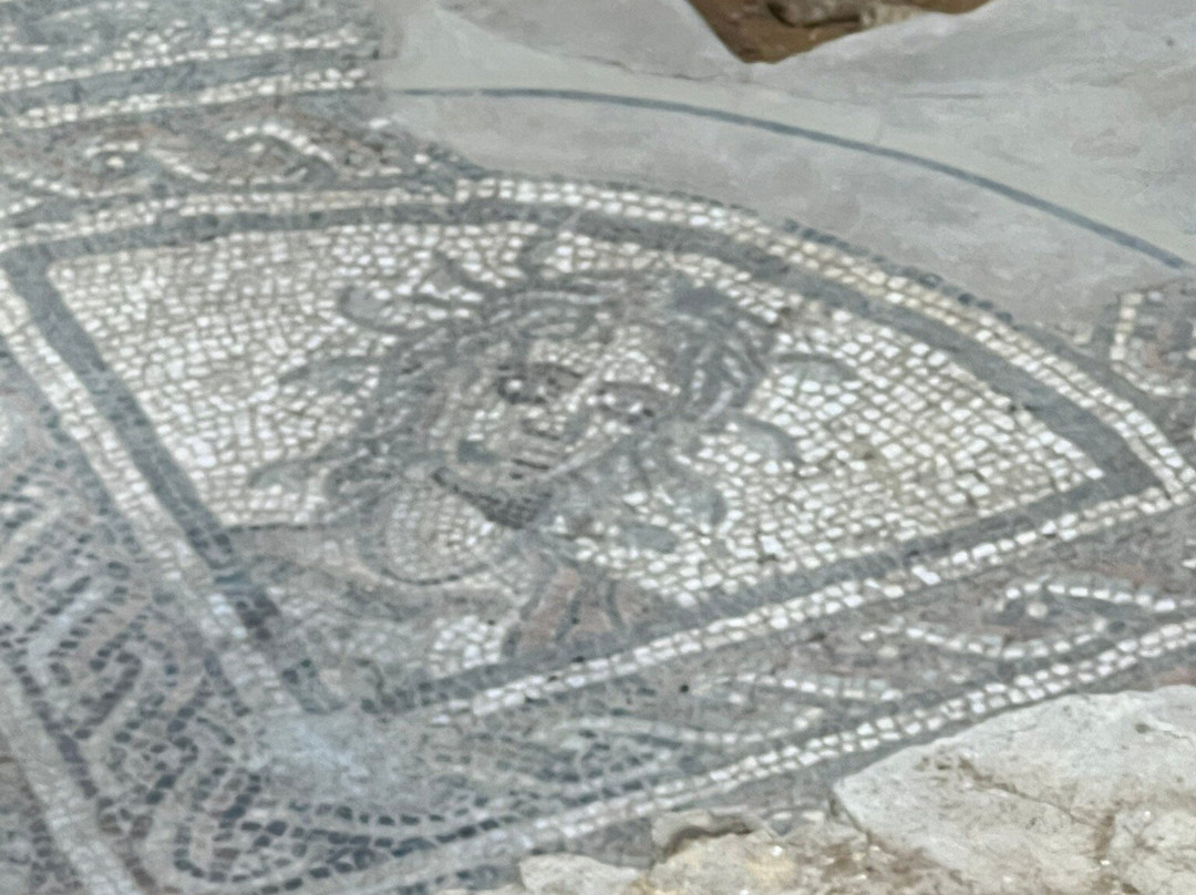 Brading Roman Villa-Brading必去景点