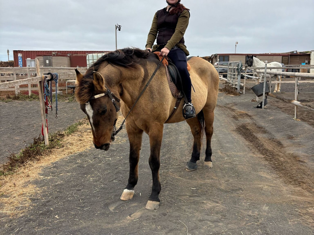 Horses Lanzarote-Teseguite必去景点