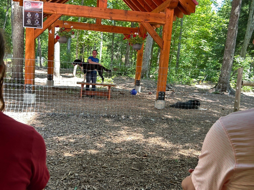 MIDOG - Michigan's Summer Sled Dog Center-Newberry必去景点