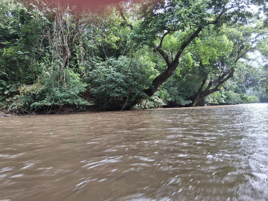 TEBiNG Guesthouse Taman Negara Malaysia Kuala Tahan主图