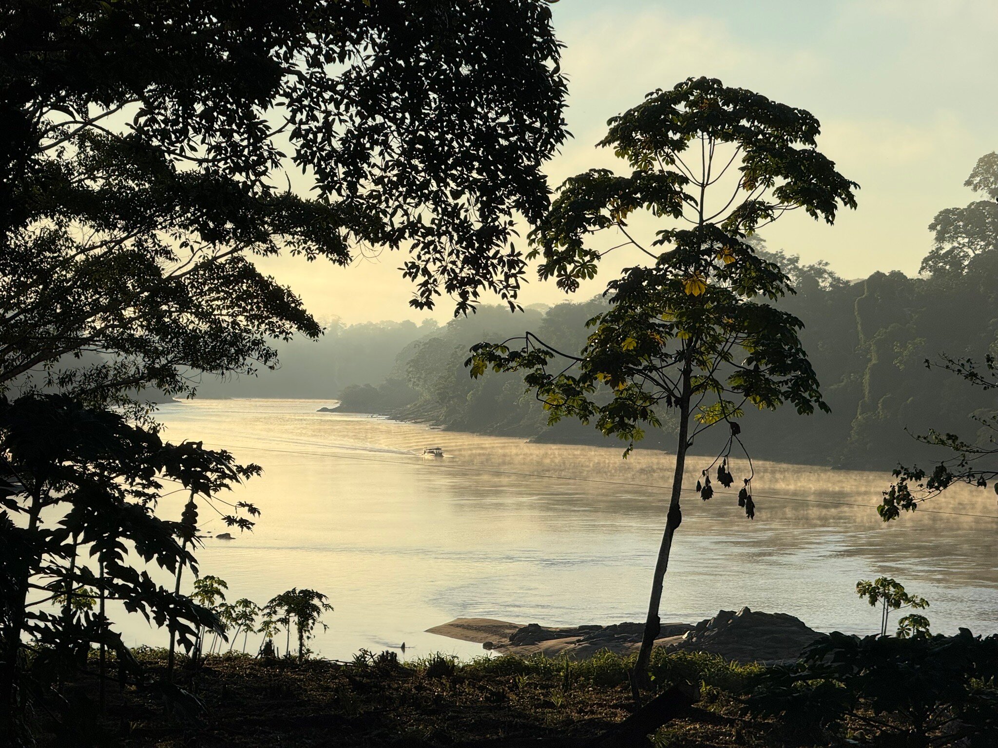 Wasai Tambopata Lodge-官方