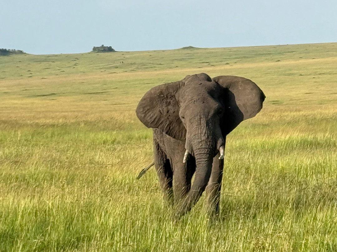 Worldwide Safaris Tanzania-阿鲁沙必去景点