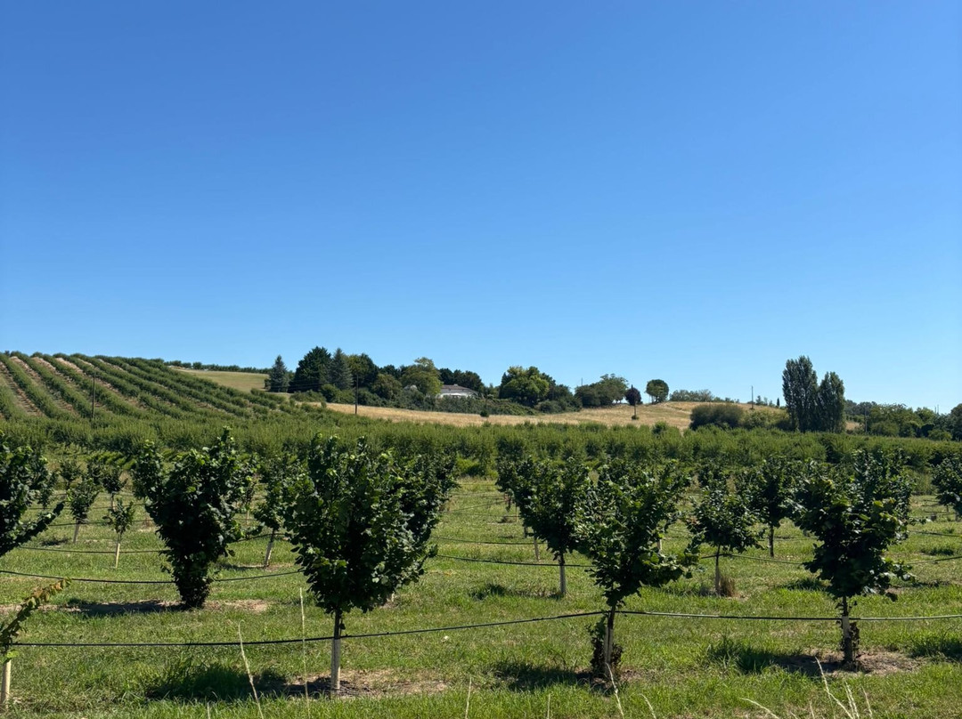 Labarthe B&B and Gite主图