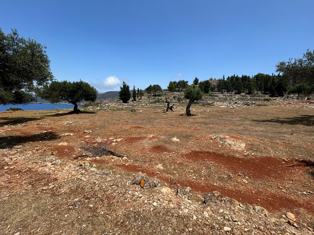 Castle-阿索斯必去景点