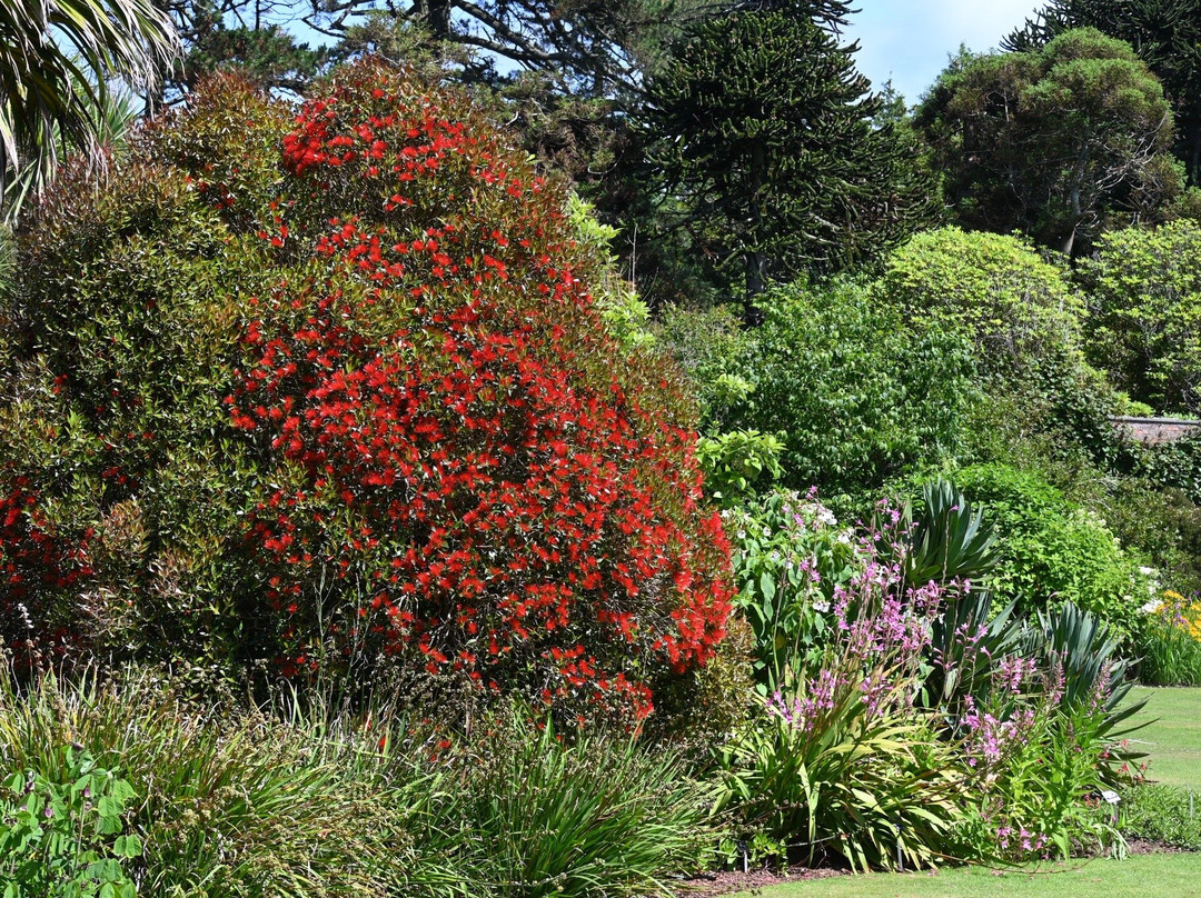 Logan Botanic Garden-Port Logan必去景点