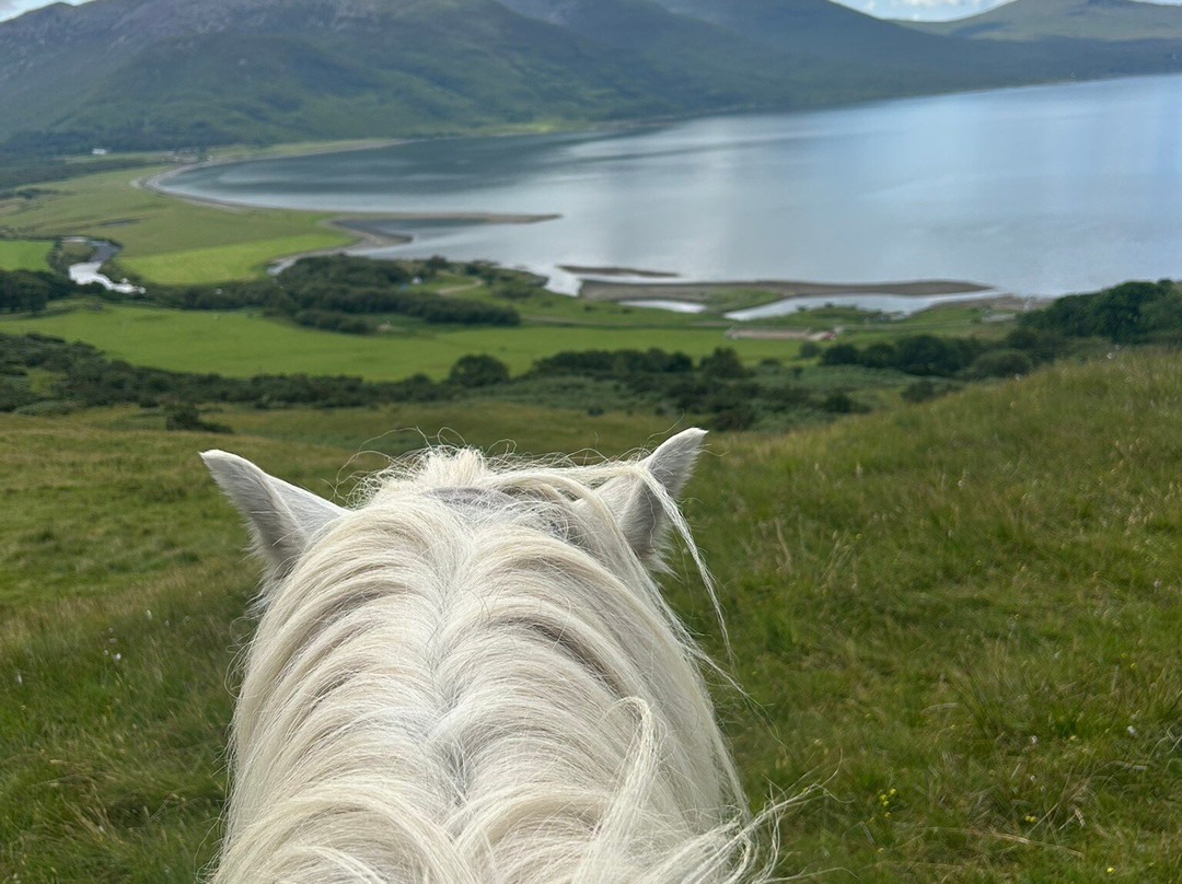 Mull Pony Trekking-马尔岛必去景点