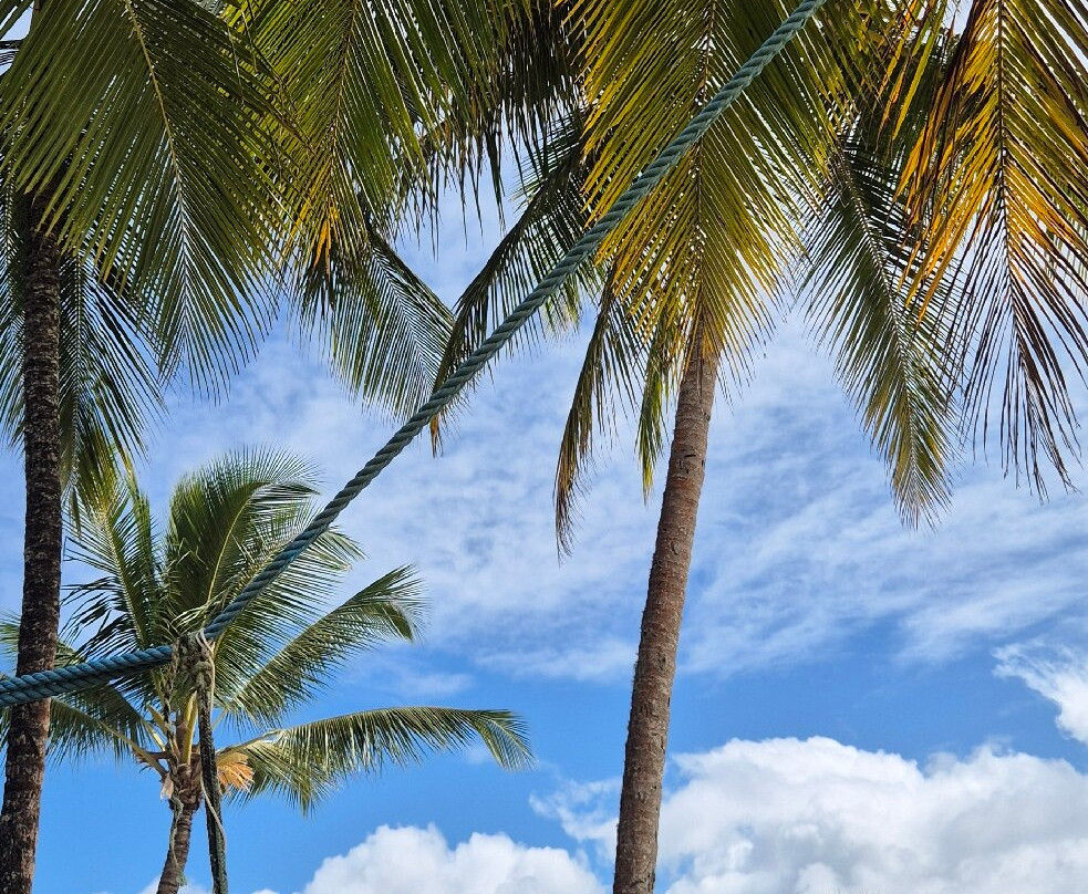 Cururupe Beach-Ilheus必去景点