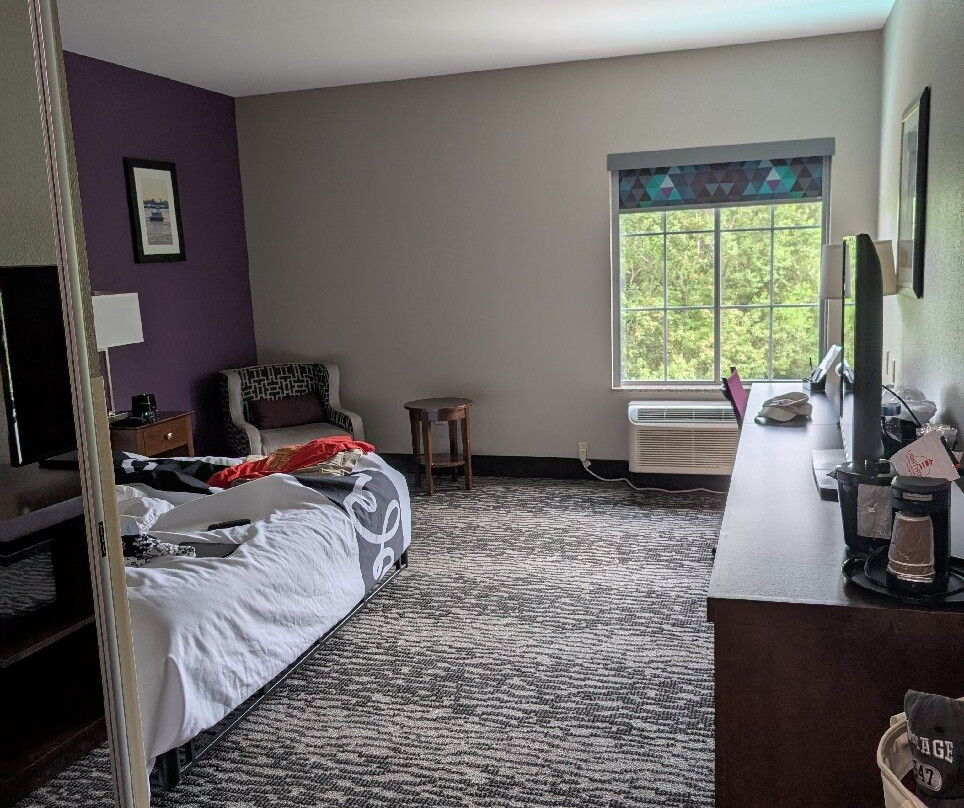 La Quinta Inn & Suites by Wyndham Baton Rouge Denham Springs主图