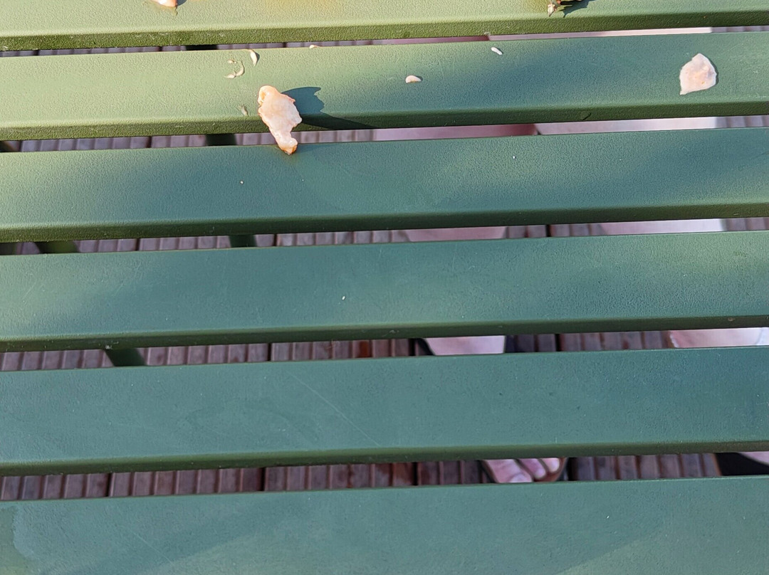 Salling Rooftop-欧胡斯必去景点