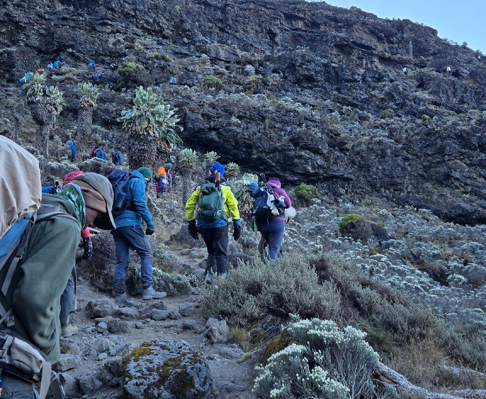 Dotcom Safaris Ltd-莫西必去景点