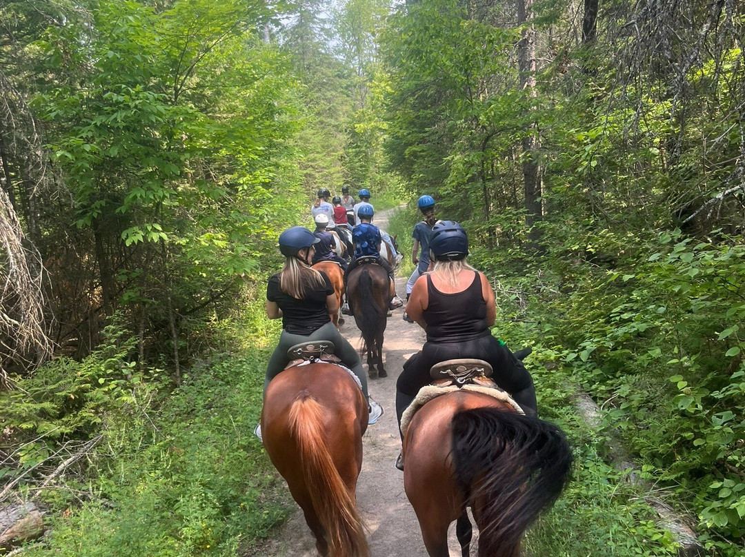 Horsin Around Riding Ranch-Marmora必去景点