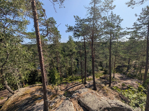 Elev8 Nature Experiences – Nuuksio Tours From Central Helsinki-赫尔辛基必去景点