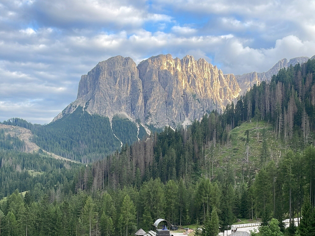 San Martino in Badia酒店住宿-Tlisora Speckstube