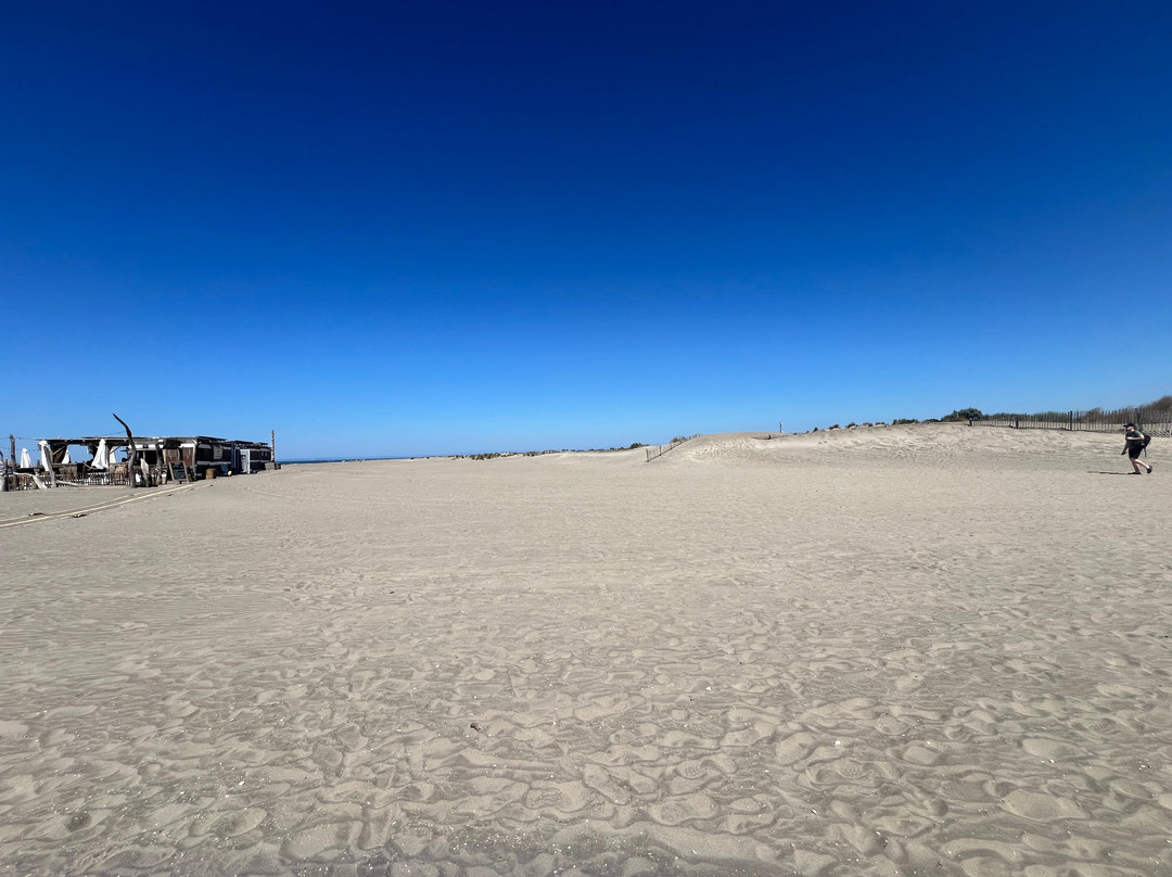 Plage de l’Espiguette-勒格罗迪鲁瓦必去景点