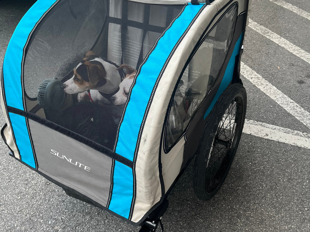 Savannah On Wheels-萨凡纳必去景点