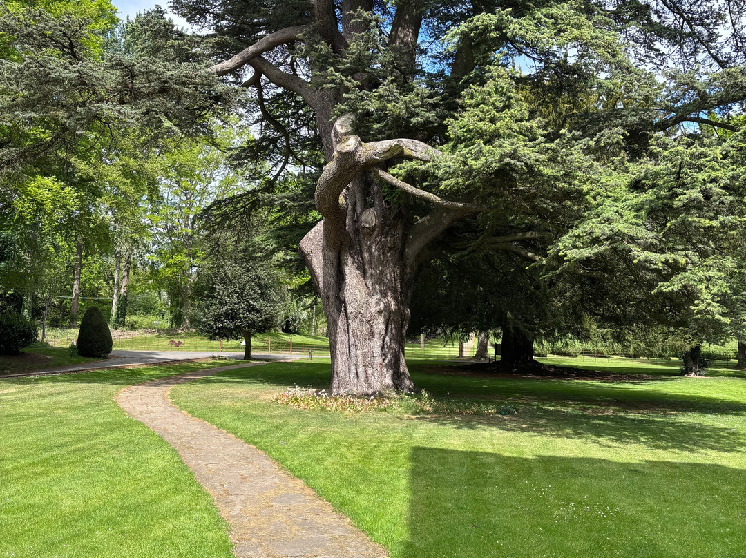 Shobdon Church-Shobdon必去景点
