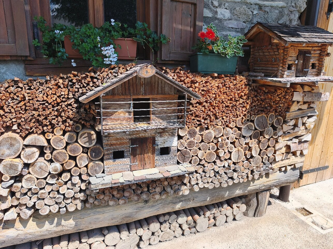 Zahre Beer-Sauris必去景点