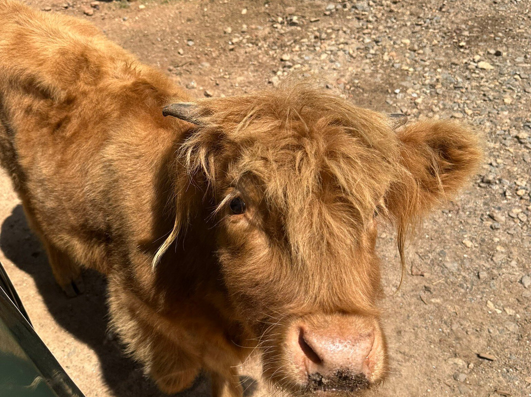 North Georgia Wildlife Park-Cleveland必去景点