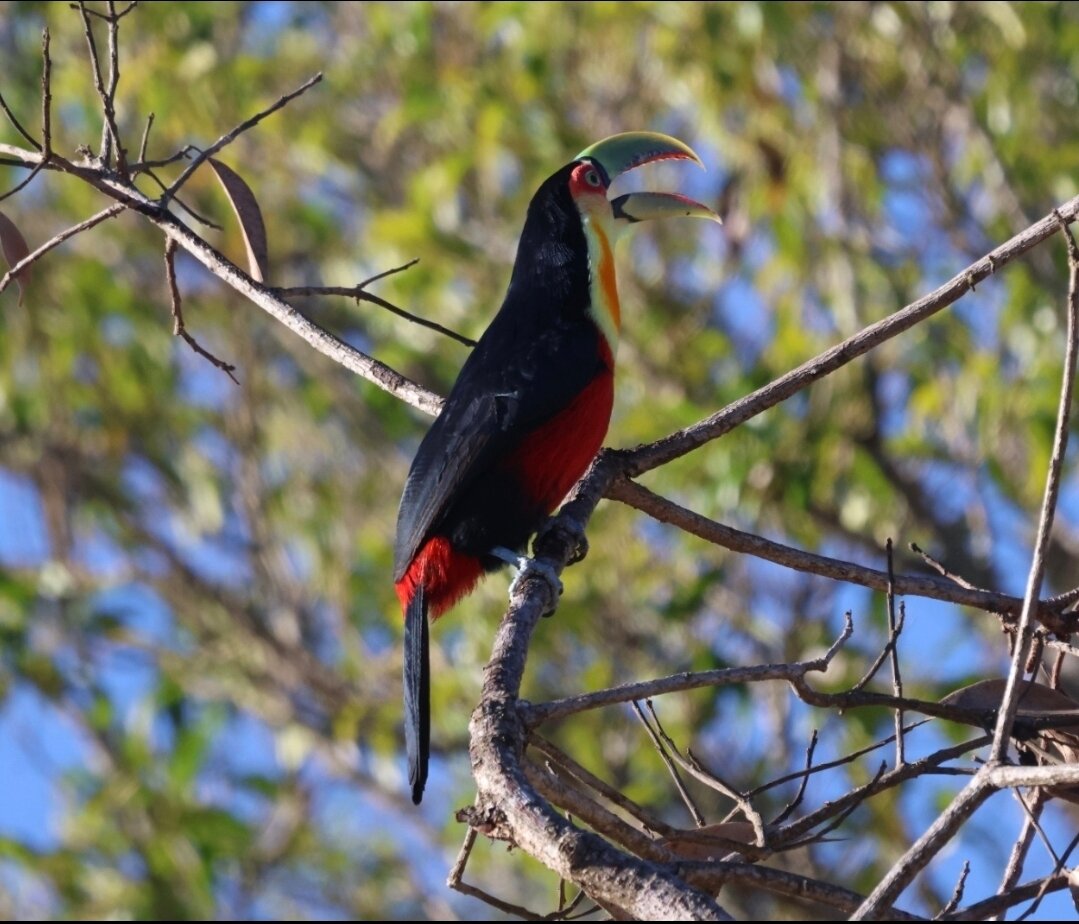 Residencial Vilas Boas-官方