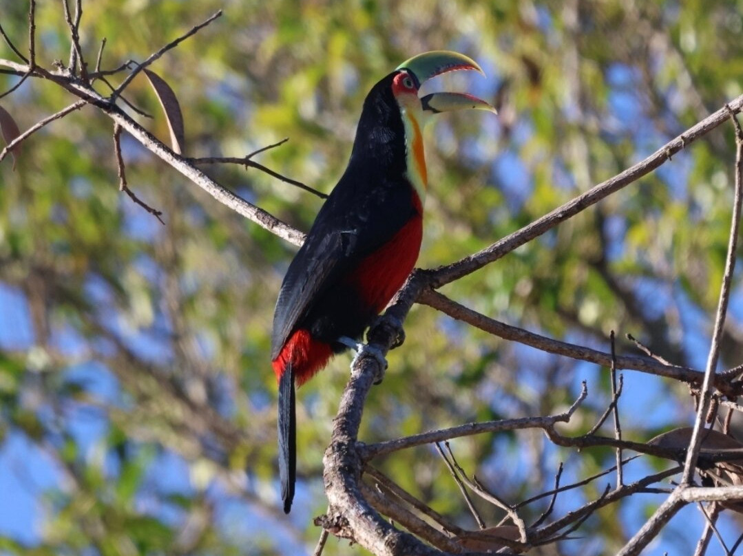 Companhia酒店住宿-Residencial Vilas Boas